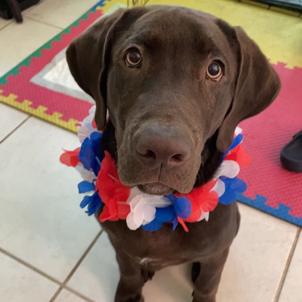 Meet your Posher, Kara